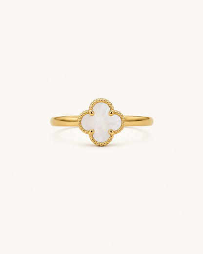 Anillo De Oro | 10 Kilates