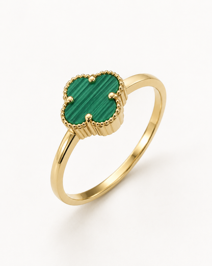 Anillo De Oro | 10 Kilates