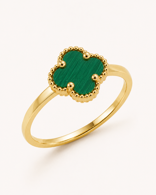 Anillo De Oro | 10 Kilates