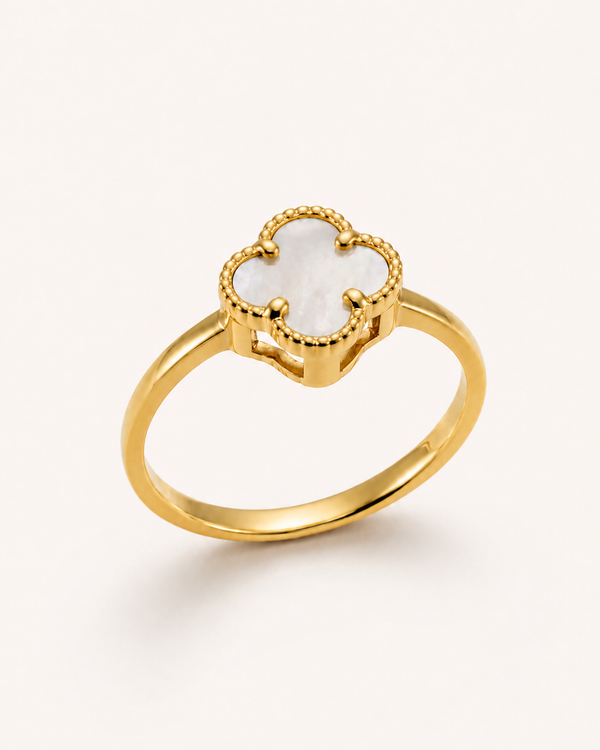 Anillo De Oro | 10 Kilates
