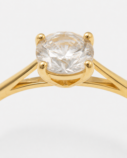 Anillo De Oro | 10 Kilates