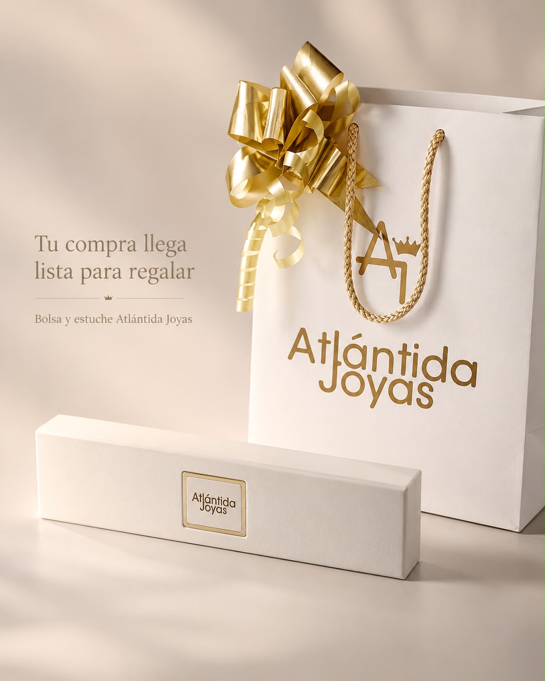 Pulsera de Plata y Oro | Virgen Milagrosa