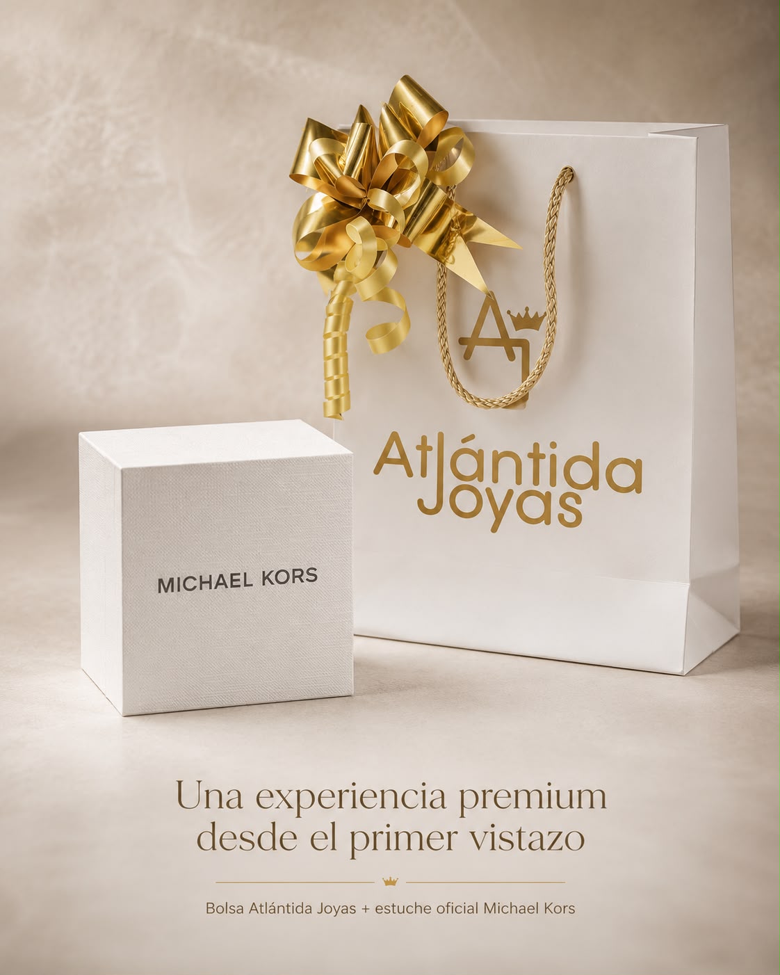Reloj Michael Kors | Silver Small